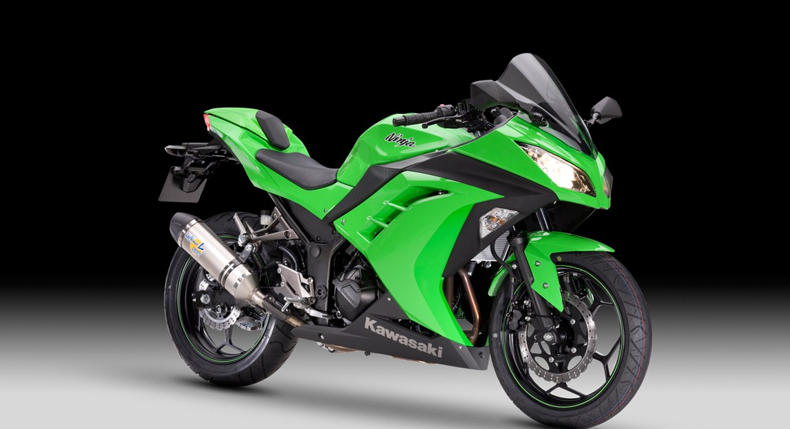 Ninja 300 Performance