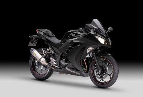 Kawasaki Ninja 300 Performance