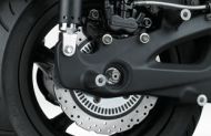 Dual petal disc brakes