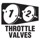 Dual Throttle Valves